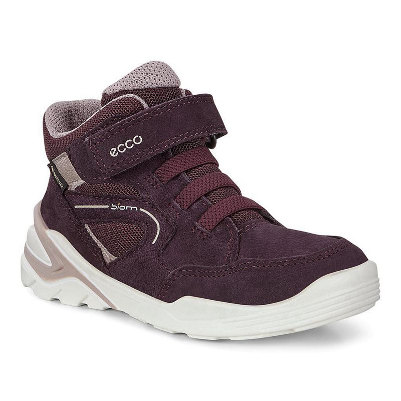 Kids Ecco Biom Vojage - Boots Purple - India BLKUOR357